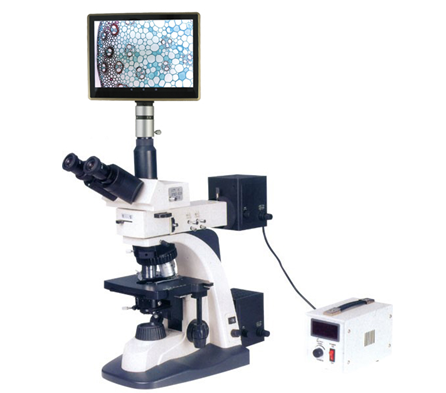 上海彼愛姆平板電腦高級透反射顯微鏡（明/暗場）BM-SG12BDP